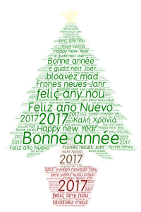 bonne-annee-2017